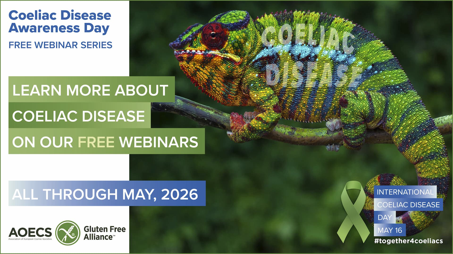 Coeliac Disease Awarness Free Webinars | AOECS